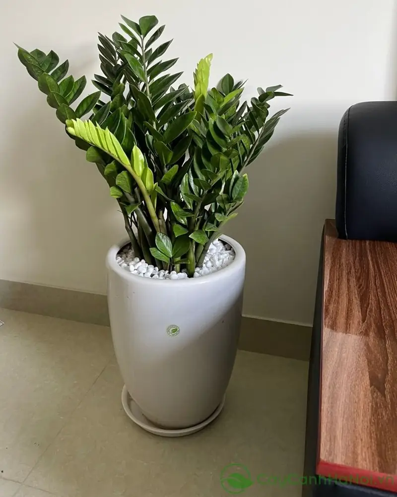 1. Tiền Sảnh Là Gì? Khái Niệm và Ý Nghĩa