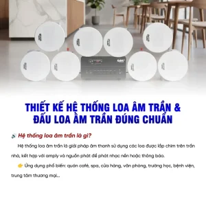 1. Trần Chìm Là Gì? Định Nghĩa & Vai Trò Cốt Lõi