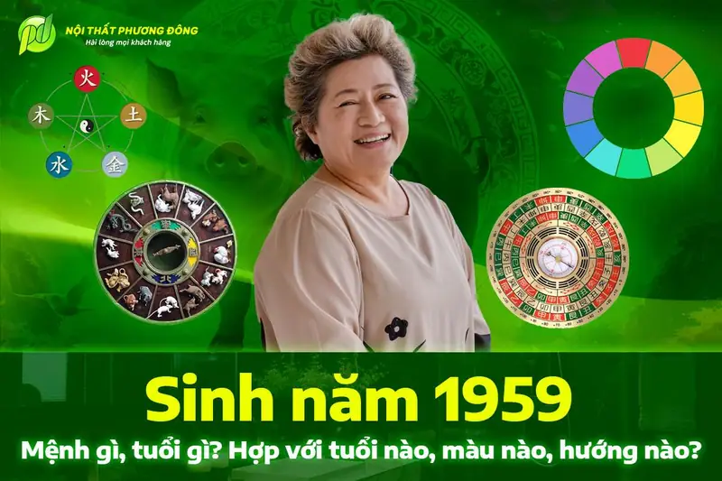 Tuổi dần hợp màu gì - Ứng dụng màu sắc hợp tuổi Dần vào cuộc sống