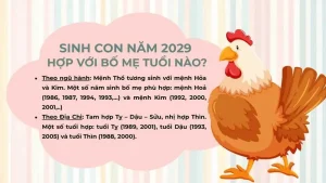 Tuổi Dậu kỵ hướng nào? Phân tích chi tiết