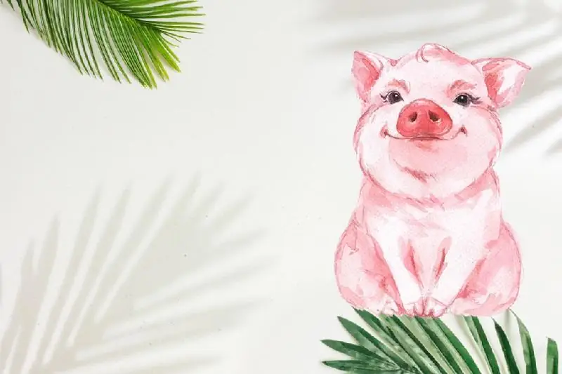 Tuổi Hợi Hợp Hướng Nhà Nào Nhất Để Gia Đạo Hưng Vượng? 3 Tuổi hợi hợp hướng nhà nào - Lưu ý khi chọn hướng nhà cho gia chủ tuổi Hợi