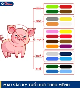 Tuổi Hợi hợp màu gì theo mệnh ngũ hành?
