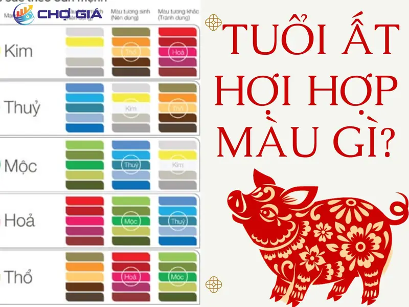 Tuổi hợi hợp màu gì - Màu sắc tương sinh và tương khắc cho tuổi Hợi
