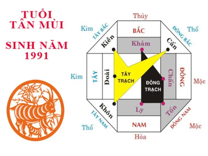 Tuổi Mùi Hợp Hướng Nhà Nào 2026: Chọn Vận May Cho Gia Chủ 2 2. Tuổi Tân Mùi (1991) & Ất Mùi (1955) hợp hướng nhà nào? - tuổi Mùi hợp hướng nhà nào sơ đồ phong thủy tuổi Tân Mùi và Ất Mùi hợp hướng Đông, Đông Nam, Bắc, Nam
