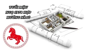 Giải mã tuổi Ngọ kỵ hướng nào