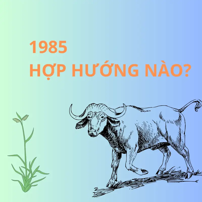 Tuổi sửu kỵ hướng nào - Bố Trí Nhà Đón Tài Lộc, Hóa Giải Hướng Xấu Cho Tuổi Sửu