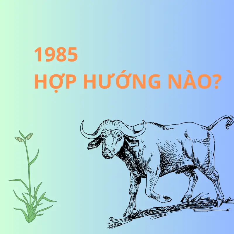 Tuổi thân kỵ hướng nào - Hóa giải hướng nhà không hợp tuổi Thân