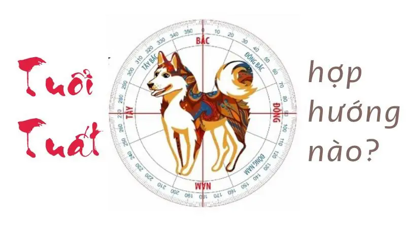 Tuổi Tuất Hợp Hướng Nhà Nào Năm 2026 Để Mang Lại May Mắn, Tài Lộc? 1 tuoi tuat hop huong nha nao tuoi tuat hop huong nha nao 0