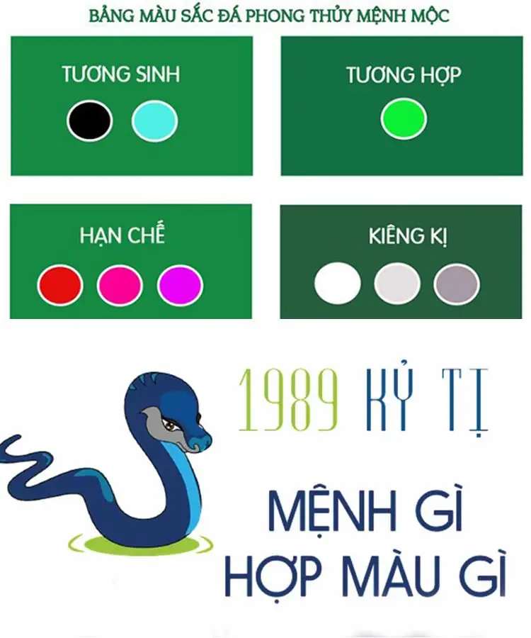 Tuổi tý hợp màu gì - Những màu sắc tuổi Tý nên tránh