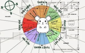 Tuổi Tý kỵ hướng nào theo phong thủy?