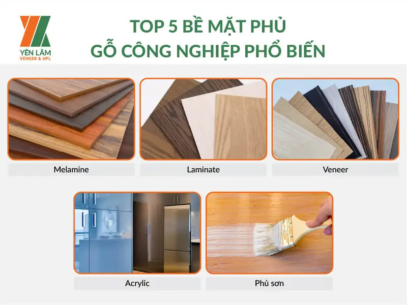 Veneer là gì? Giải mã vật liệu "sang trọng giá mềm" cho nội thất 2 Veneer là gì - 2. Các loại Veneer phổ biến hiện nay
