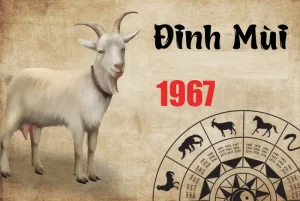 Xem tuổi xây nhà tuổi đinh mùi - Tuổi Đinh Mùi 1967: Chọn năm xây nhà tốt nhất