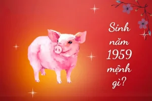 Xem tuổi xây nhà tuổi kỷ hợi - Tổng quan tuổi Kỷ Hợi và ý nghĩa xem tuổi xây nhà