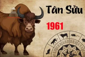Xem tuổi xây nhà tuổi tân sửu - Tổng quan về tuổi Tân Sửu 1961